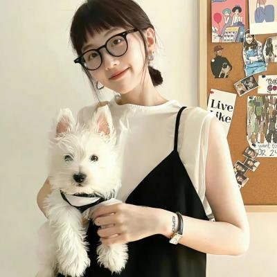 我的朋友叫哈维